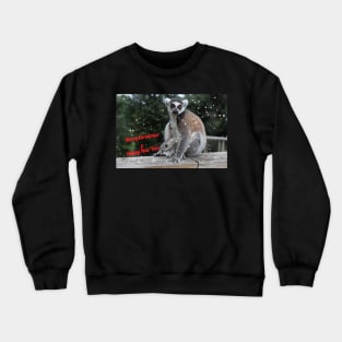 Ring-tailed lemur - Merry Christmas & Happy New Year Crewneck Sweatshirt